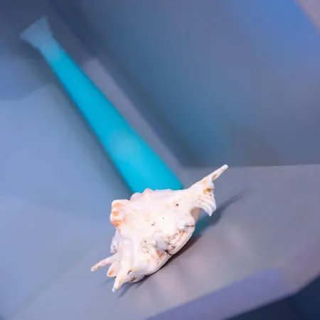 Luxe Living In Apartament